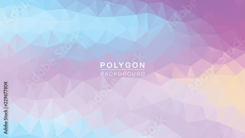 Polygon Unicorn Soft Rainbow