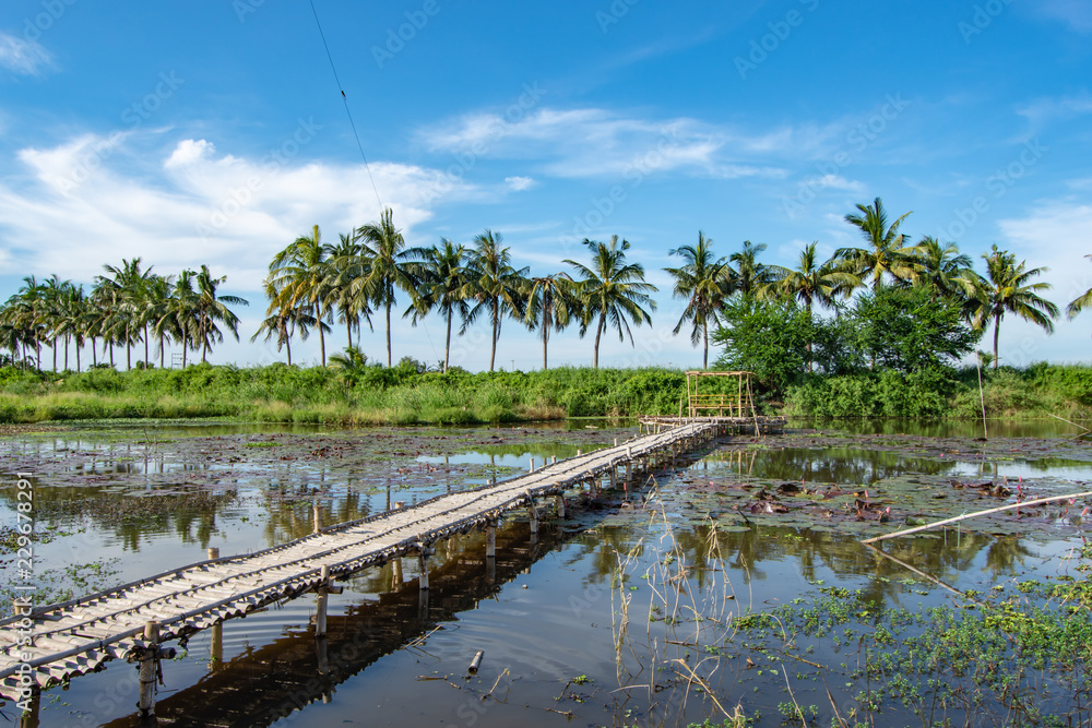Obraz premium Bamboo walkway and Bamboo shack on the pond.