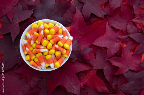 Canvastavla Halloween candy corn in a white dish, on a background of red fall leaves