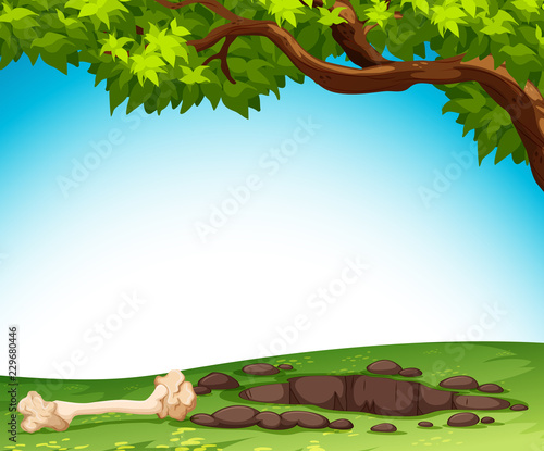 Ground and bone in nature