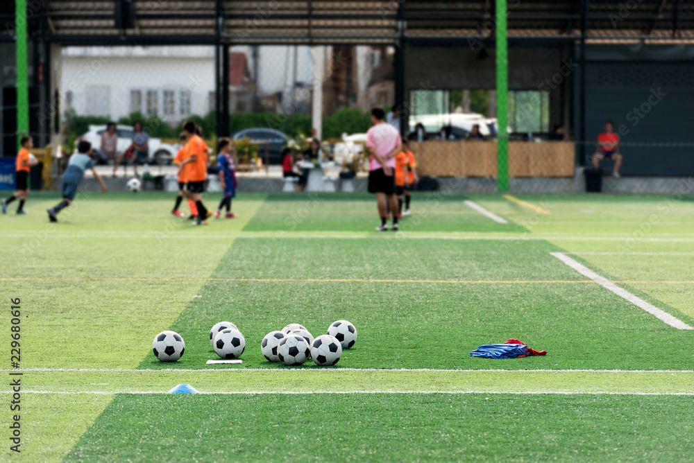 Training Ball in green soccer field