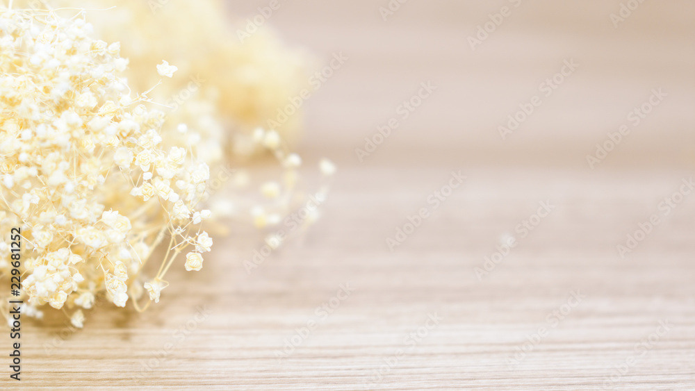 Shallow depth of Dried flower on wooden background. Copy space for text. Shallow depth of Dried flower on wooden background. Copy space for text.