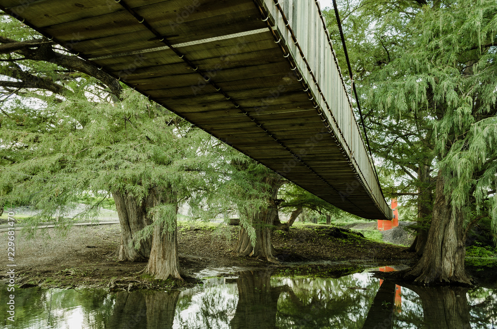 Bridge made of wood wing seen from below. Bridge made of wood wing seen from below.