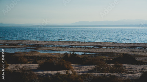 Salton Sea Beach © isai