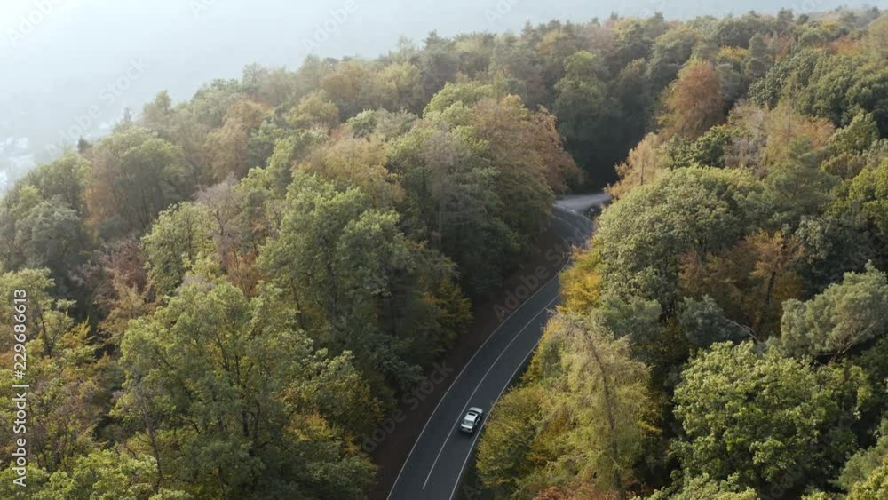 Aerial view of a road in the middle of the forest, zooming out Aerial view of a road in the middle of the forest, zooming out