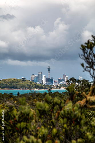 Landscape of Auckland city from Rangitoto Island, New Zealand.