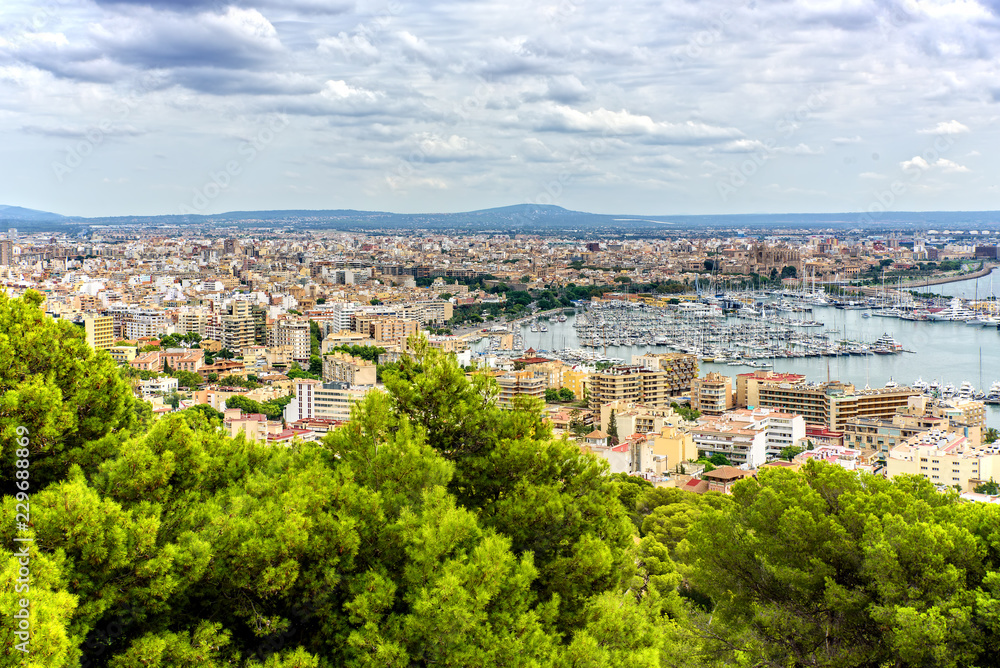 Hafen Palma de Mallorca Hauptstadt Mallorca Boot Jacht Hafen Palma de Mallorca Hauptstadt Mallorca Boot Jacht