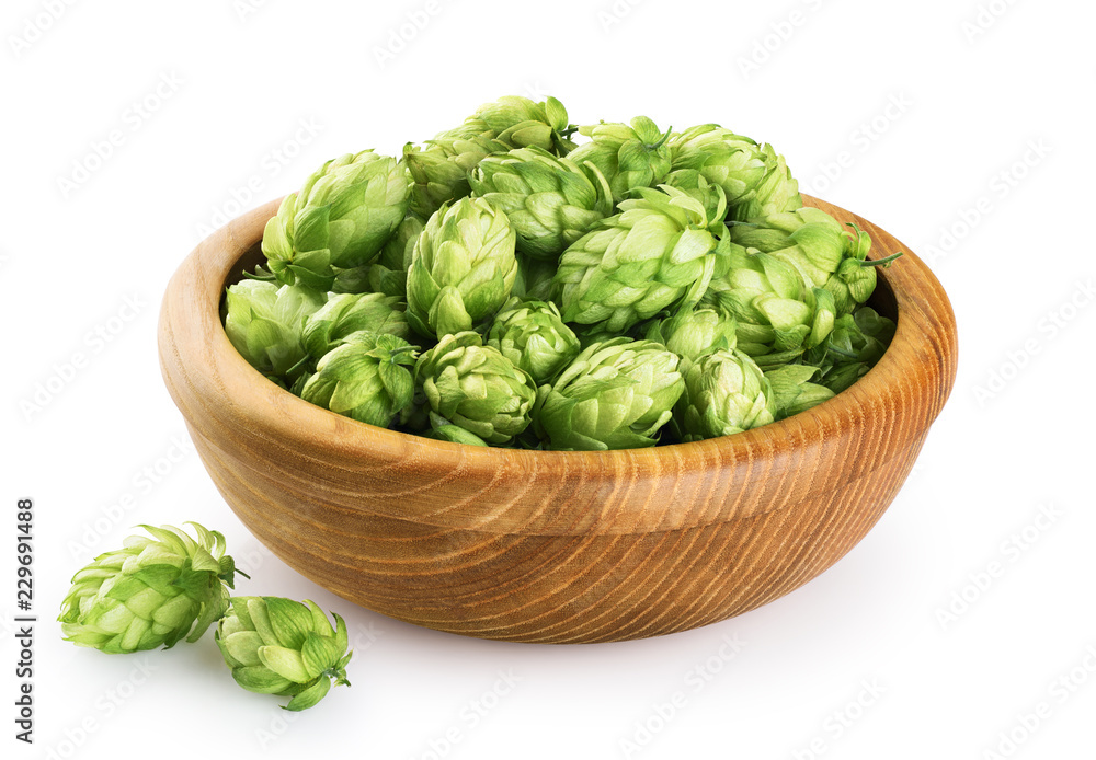 Wooden bowl with hops isolated on white background. Wooden bowl with hops isolated on white background.