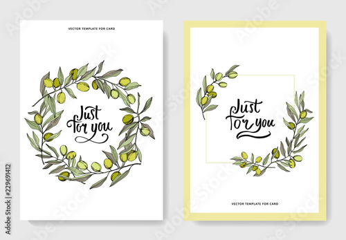 Olive tree in a vector style isolated. Green engraved ink art. Frame border ornament square. Vector olive tree for background, texture, wrapper pattern, frame or border.