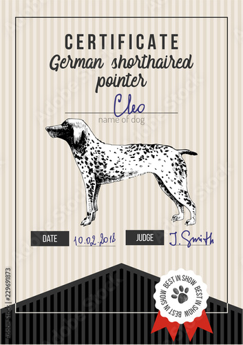 Dog show certificate with german shorthaired pointer