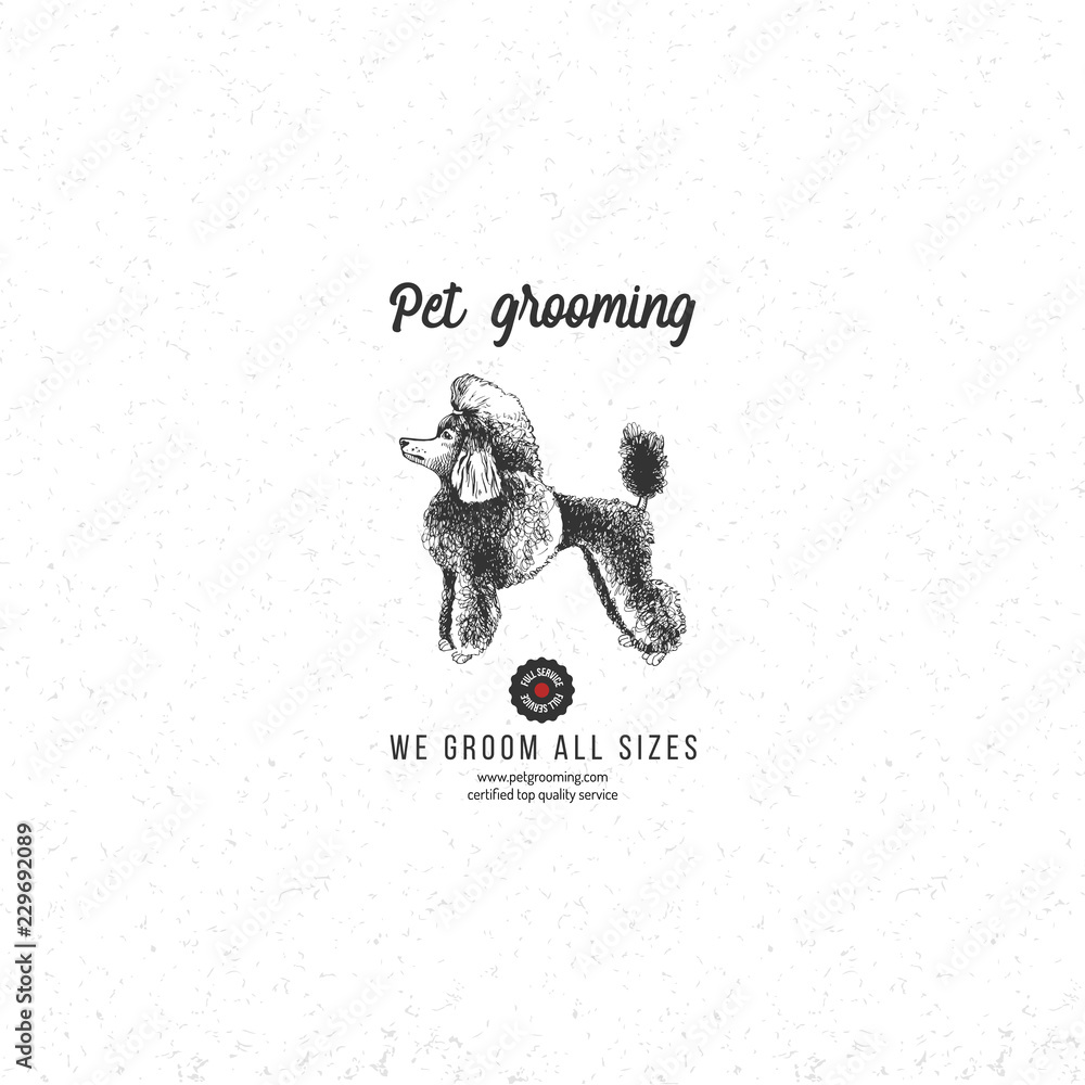 Pet grooming background with poodle Stock Vector | Adobe Stock