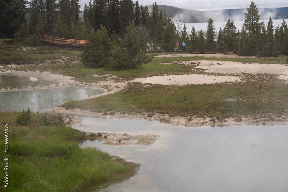 Yellowstone national park landscape. Geothermal activity, hot thermal springs with boiling water and fumes at Yellowstone National Park, USA
