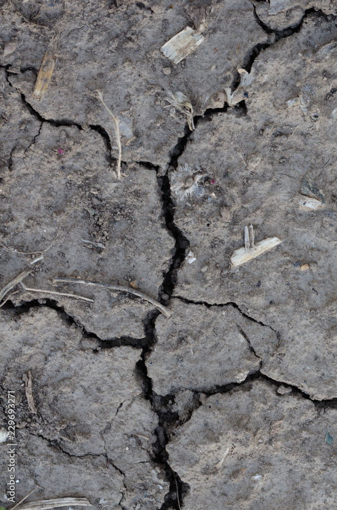 A dry land with cracks. A dry land with cracks.