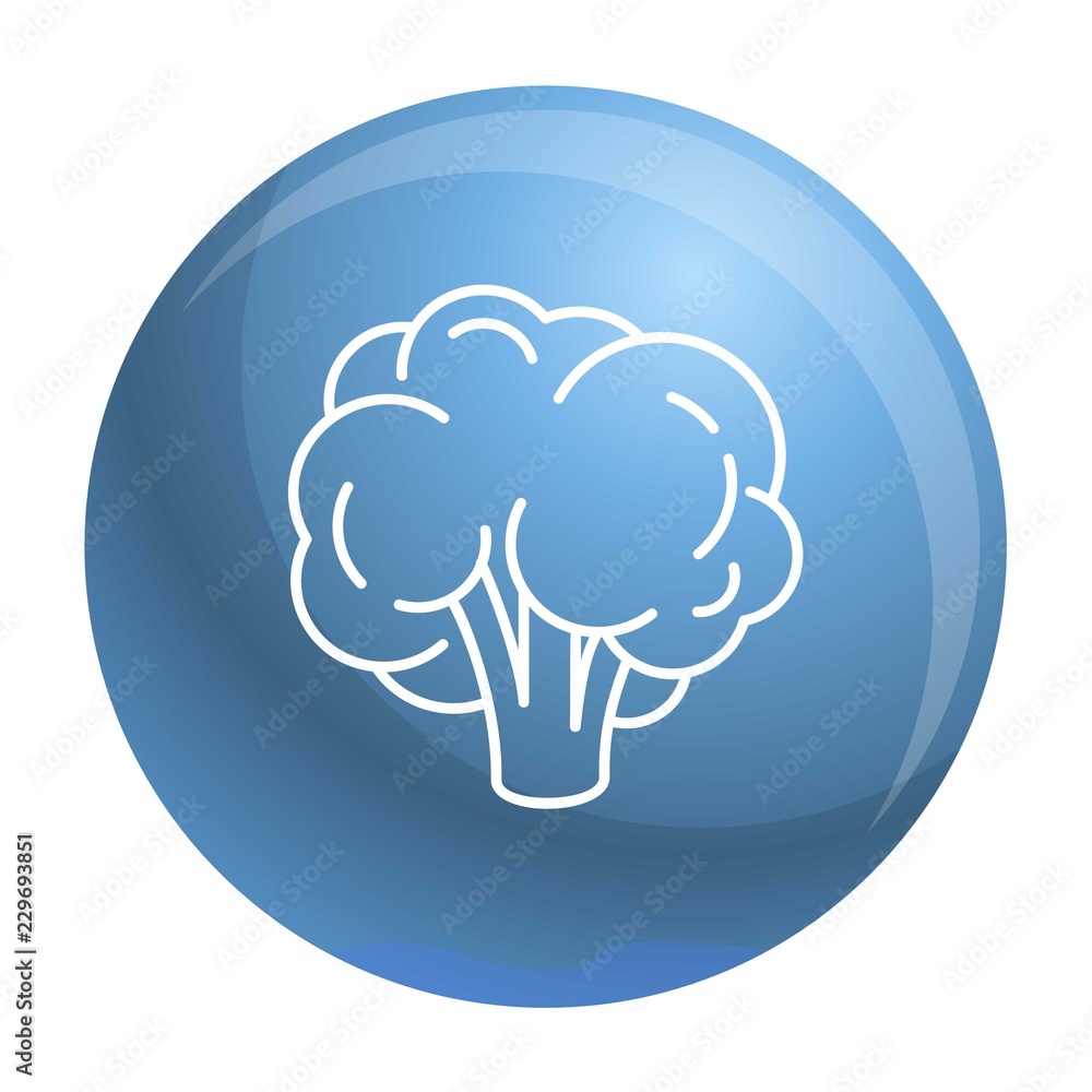 Natural broccoli icon. Outline natural broccoli vector icon for web design isolated on white background Natural broccoli icon. Outline natural broccoli vector icon for web design isolated on white background