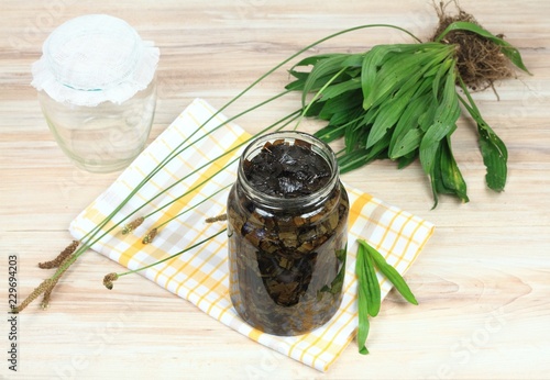 Filtering of plantain syrup against cough / Homemade ribworth plantain (Plantago lanceolata) syrup made from plantain leaves and sugar  .. photo