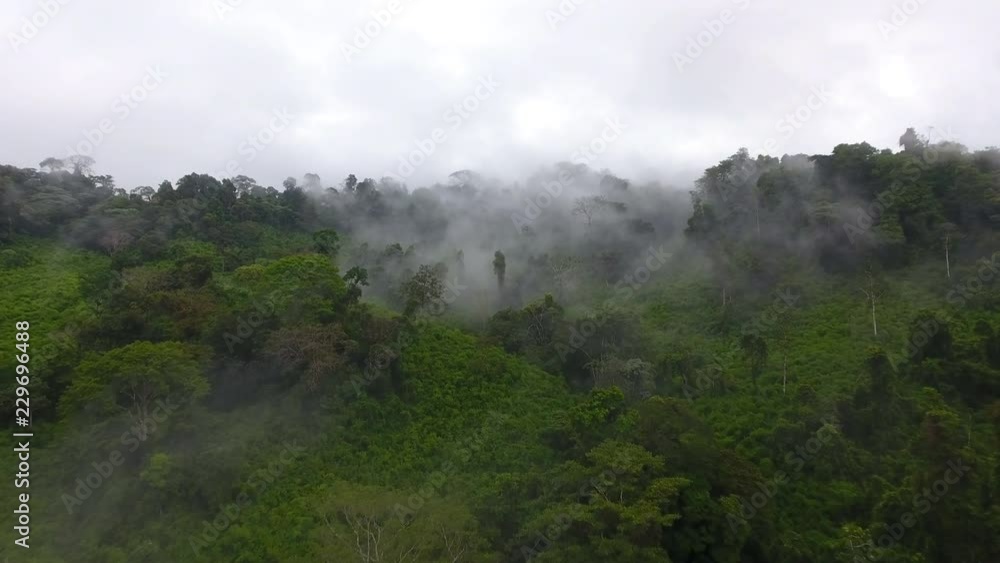 Low altitude aerial flight over a primary tropical rainforest, foggy and mystic. Saül Guiana Amazonian Park Low altitude aerial flight over a primary tropical rainforest, foggy and mystic. Saül Guiana Amazonian Park