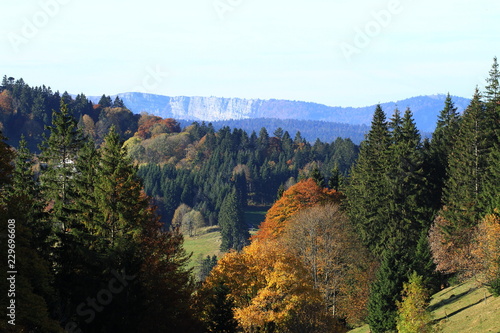 couleurs d'automne sur les falaises de Métabief