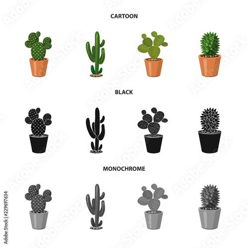 Isolated object of cactus and pot sign. Collection of cactus and cacti vector icon for stock.