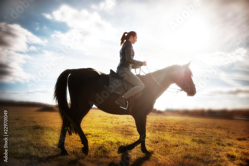 beautiful girl riding a black horse on a Sunny day. equestrian sport