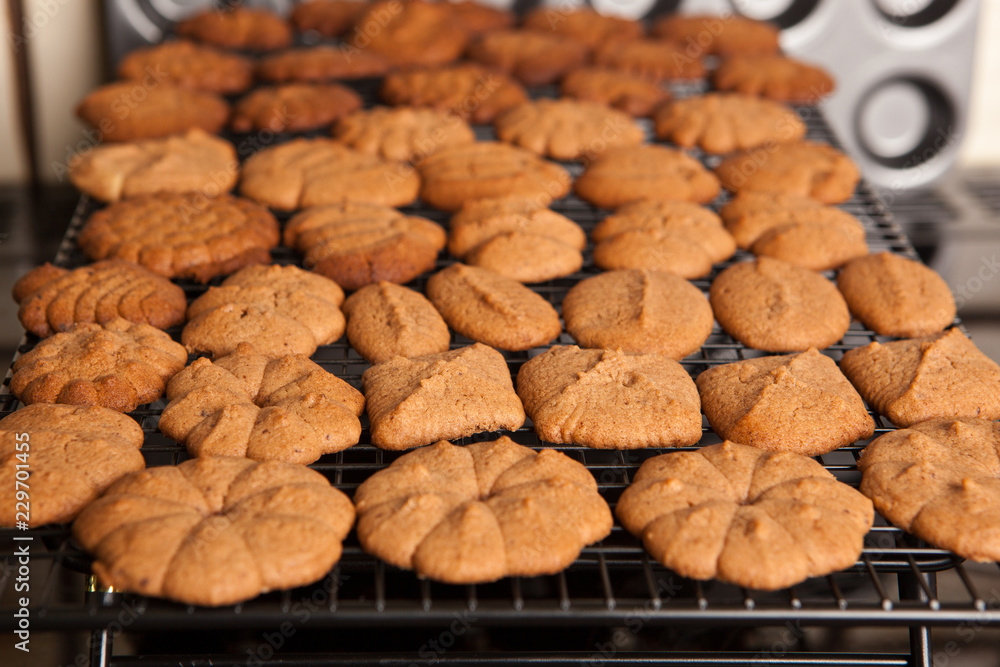 Home made cookies or biscuits cooling on a rack Home made cookies or biscuits cooling on a rack
