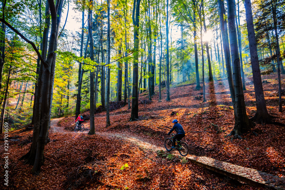 Naklejka premium Cycling, mountain biker couple on cycle trail in autumn forest. Mountain biking in autumn landscape forest. Man and woman cycling MTB flow uphill trail.