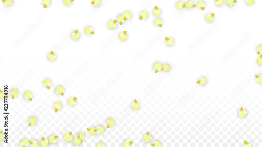 Vector Realistic Pink Petals Falling on Transparent Background. Spring Romantic Flowers Illustration. Flying Petals. Sakura Spa Design. Blossom Confetti. Vector Realistic Pink Petals Falling on Transparent Background. Spring Romantic Flowers Illustration. Flying Petals. Sakura Spa Design. Blossom Confetti.