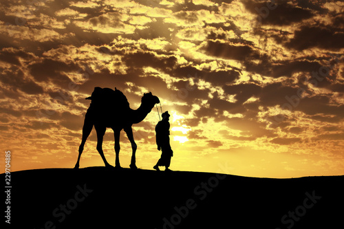 Walking with camel through Thar Desert in India  Show silhouette and dramatic sky