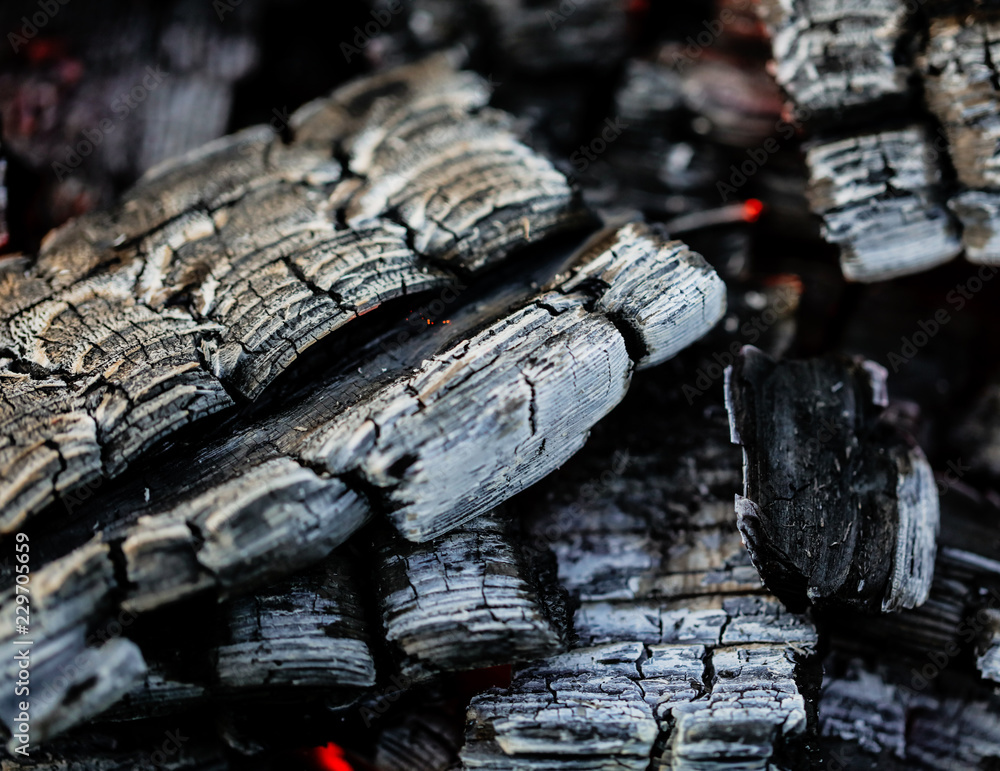 Burning coals of wood as a background Burning coals of wood as a background