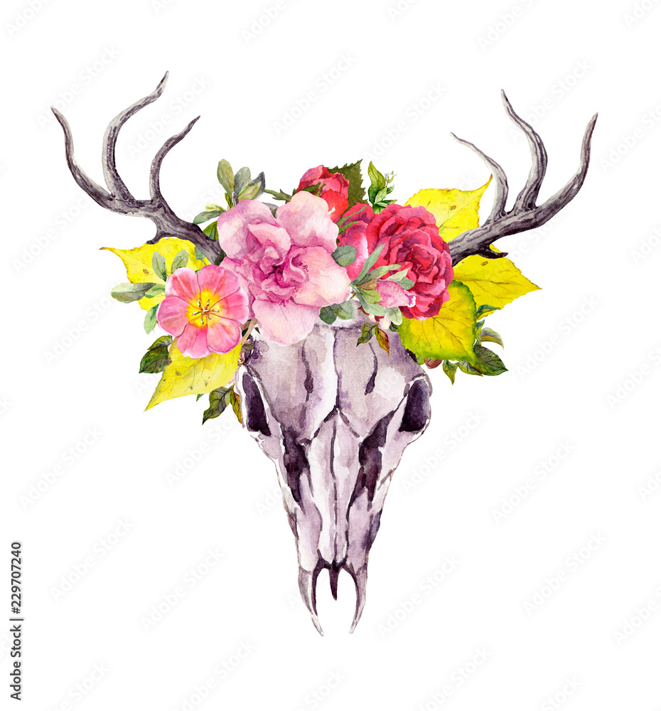 Obraz Deer animal skull with autumn leaves, flowers. Watercolor in vintage boho style