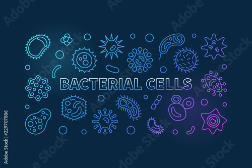 Bacterial cells blue horizontal banner. Vector line illustration