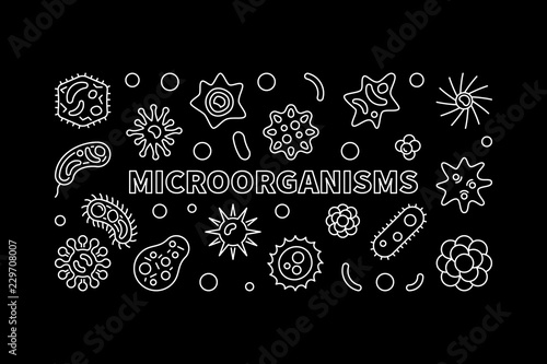 Microorganisms banner. Vector microbiology linear illustration