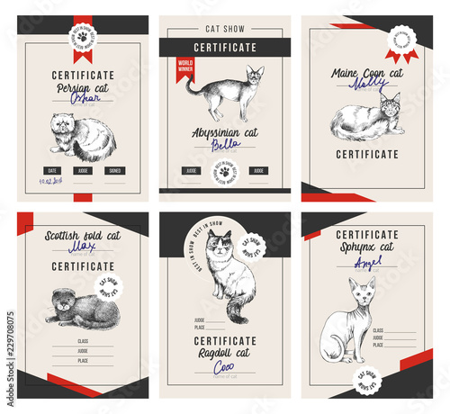 6 cat show certificates