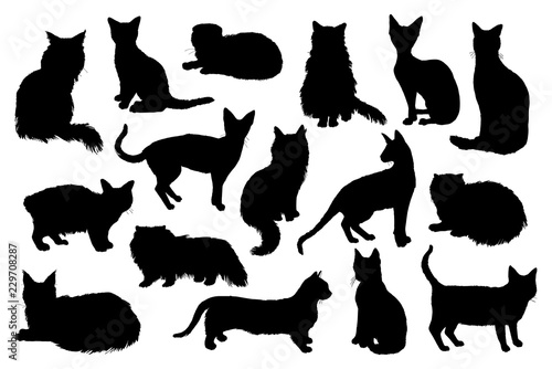 16 hand drawn cat silhouettes photo