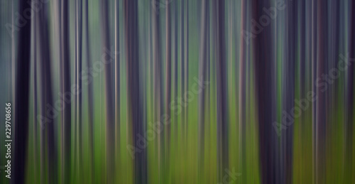 green forest in motion