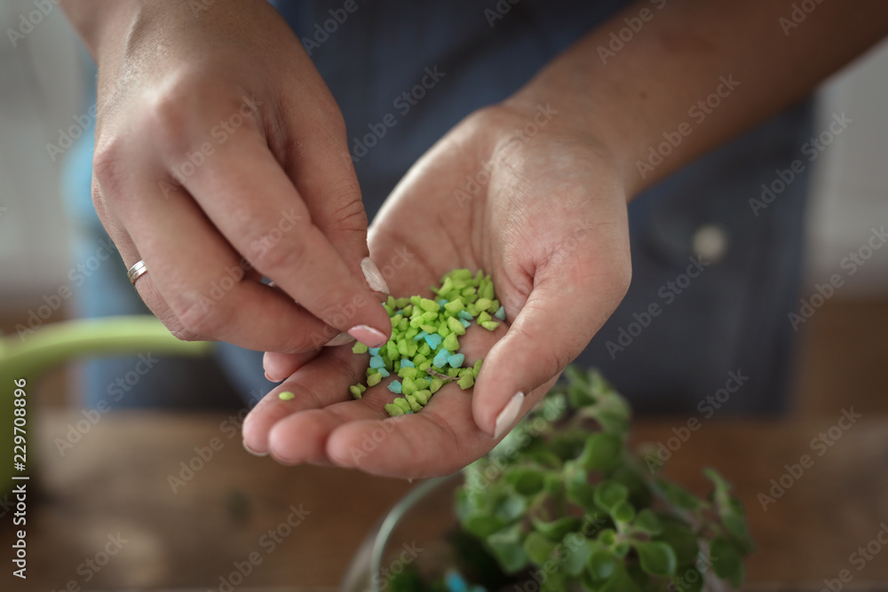 process of creating composition glass terrarium