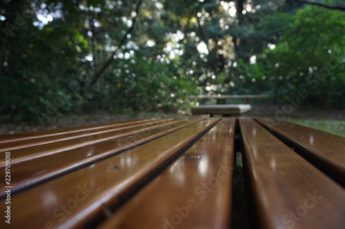 Park Bench