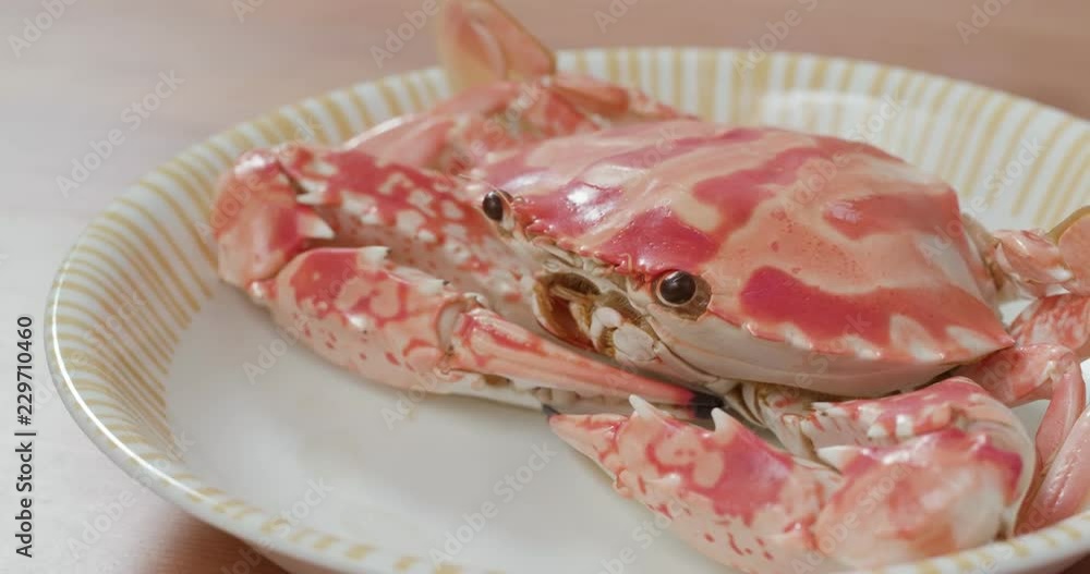 Steamed Chaozhou Style Steamed Crab Steamed Chaozhou Style Steamed Crab