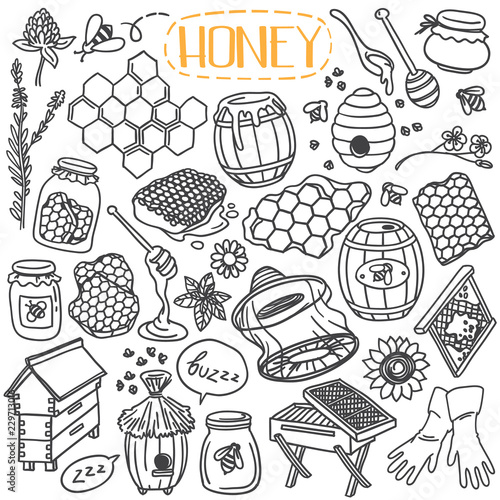 Honey and beekeeping doodles set. Hand drawn vector illustration isolated on white background