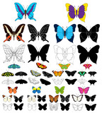 set of multicolored butterflies