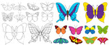 isolated, set of beautiful butterflies coloring book