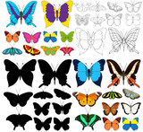  set of beautiful multicolored butterflies and silhouette with sketch