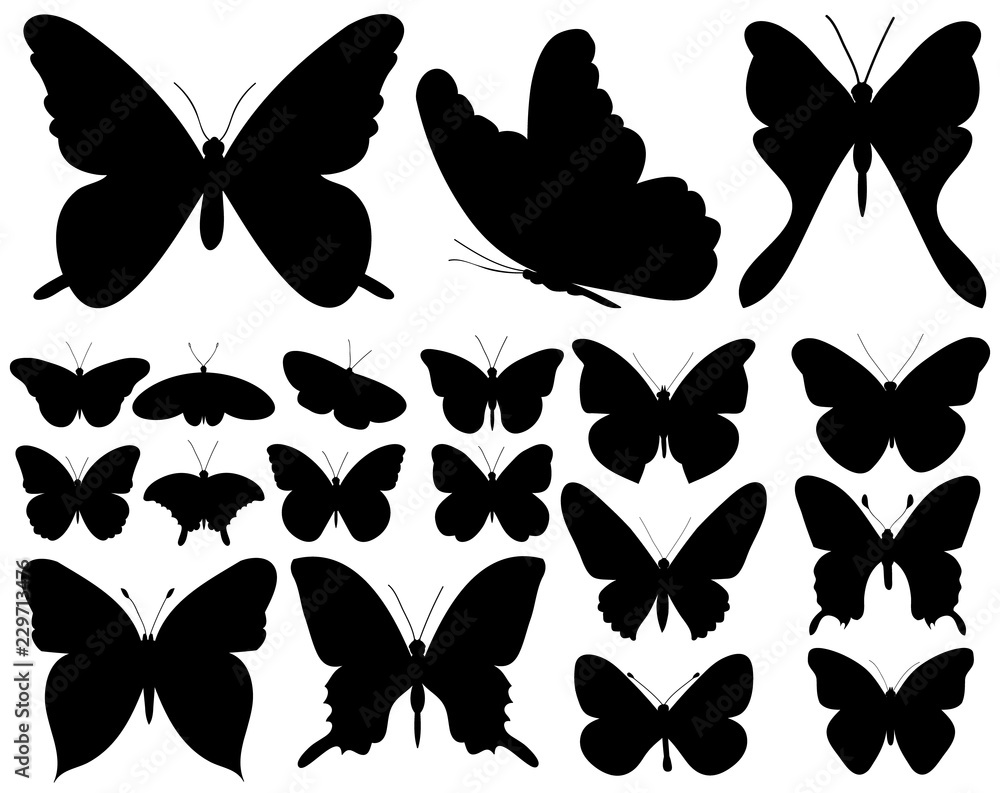 Naklejka premium isolated, set of beautiful butterflies silhouette
