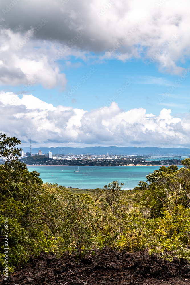 Obraz premium Landscape of Auckland city from Rangitoto Island, New Zealand.