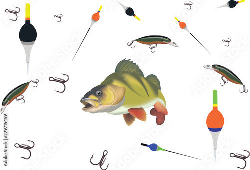 accessori sportivi attrezzatura da pesca persico trota
