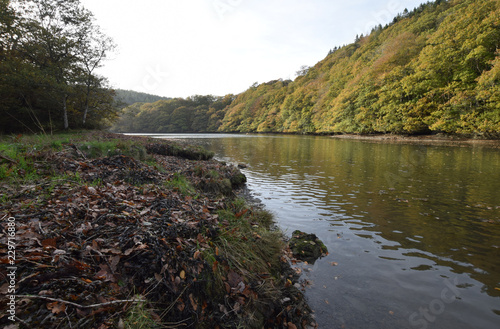 River Lerryn Cornwall photo