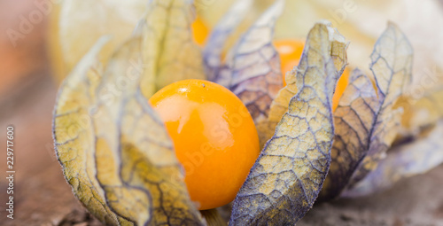 Physalis - Nahaufnahme photo