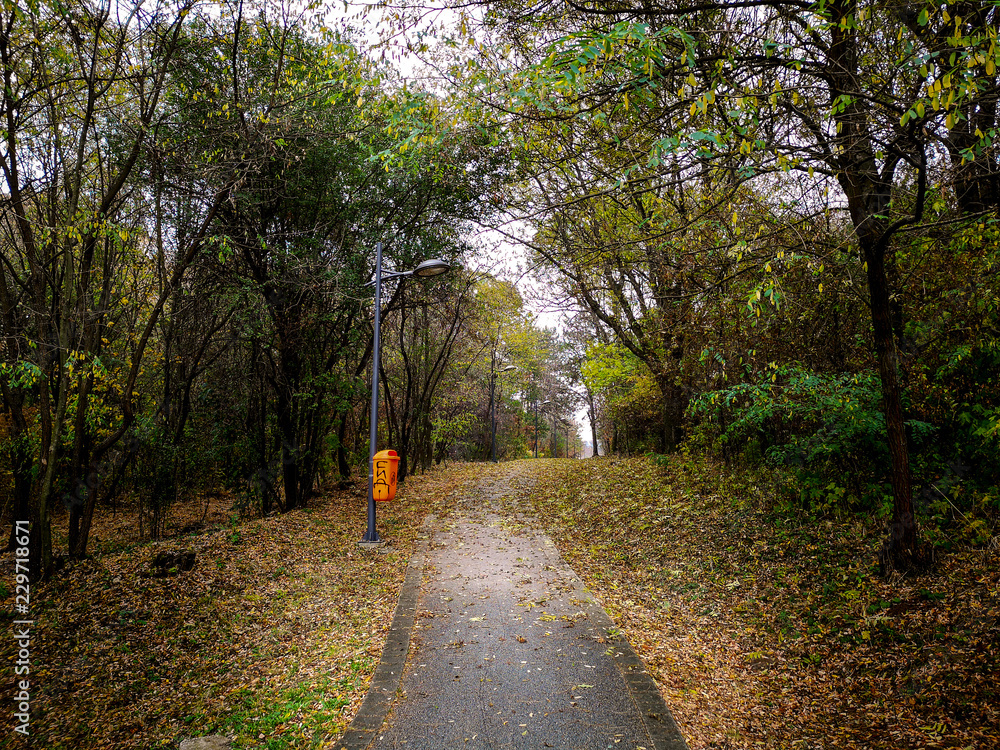 Fototapeta premium Beautiful autumn landscape in the park after rain with amazing colors. Memorial park Sumarice, Kragujevac, Serbia.