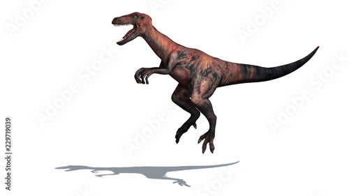 Dinosaur - Velociraptor - Two-legged, predator with a long, stiff tail - isolated on white background