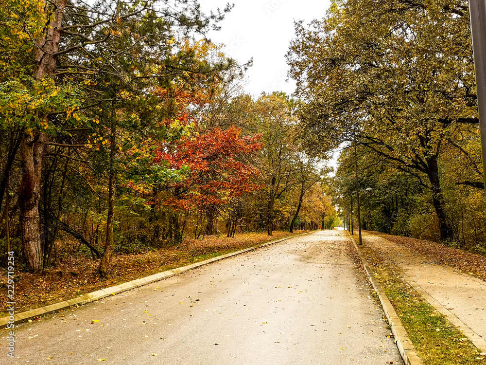 Beautiful autumn landscape in the park after rain with amazing colors. Memorial park Sumarice, Kragujevac, Serbia. Beautiful autumn landscape in the park after rain with amazing colors. Memorial park Sumarice, Kragujevac, Serbia.