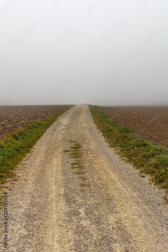 field road in the mist field road in the mist